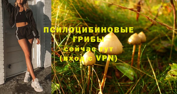 ALPHA-PVP Новодвинск