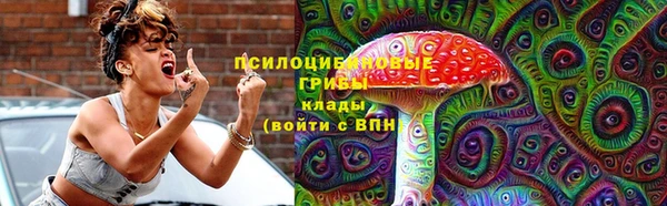 PSILOCYBIN Нязепетровск