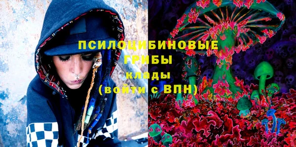 MDMA Няндома