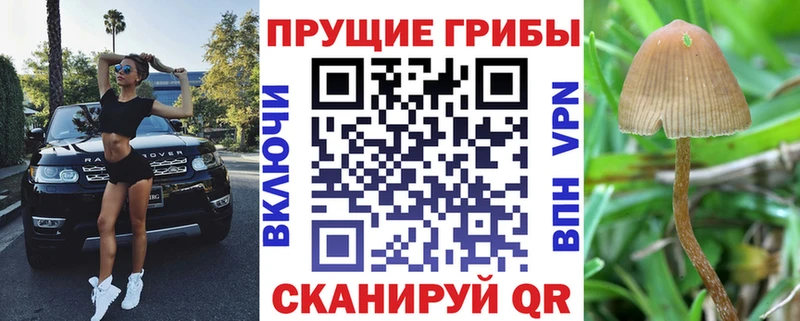 купить  сайты  блэк спрут ссылка  Псилоцибиновые грибы прущие грибы  Невельск 